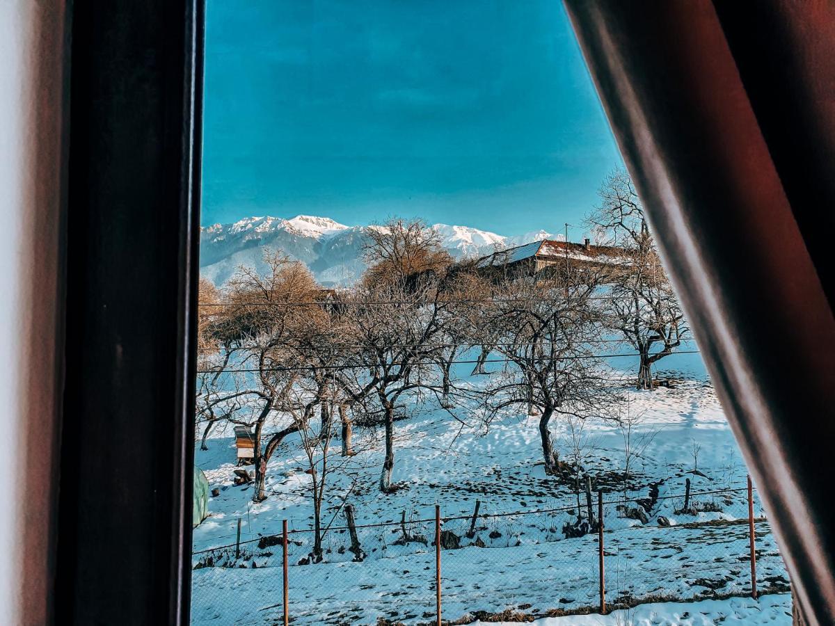 Transylvania Mountain View Cdi برانْ المظهر الخارجي الصورة