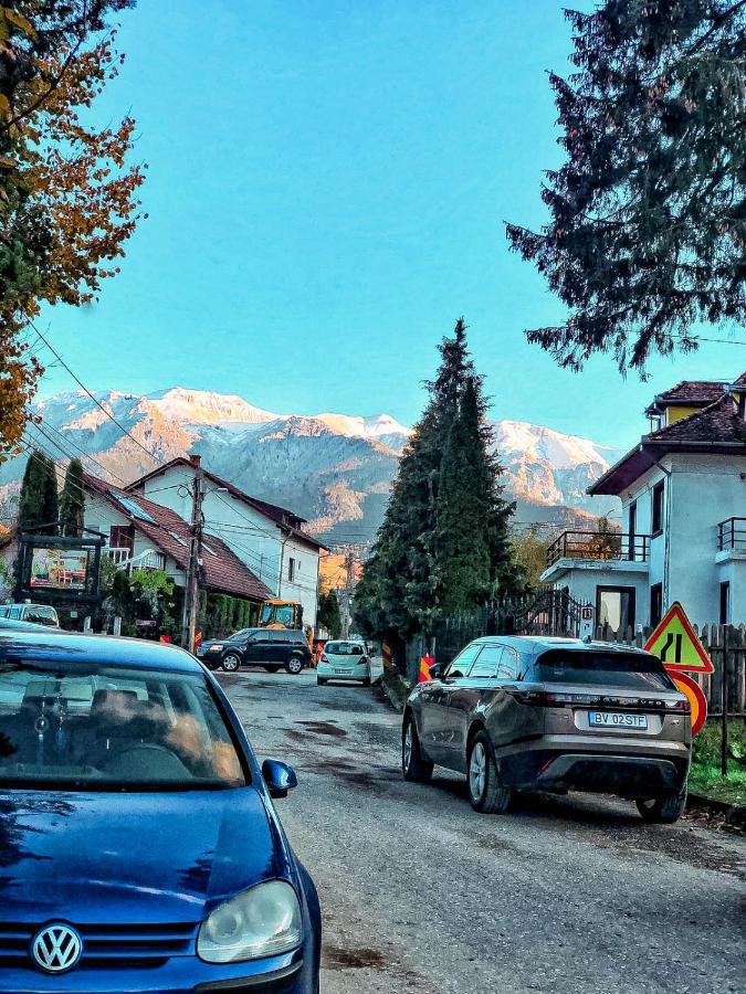 Transylvania Mountain View Cdi برانْ المظهر الخارجي الصورة