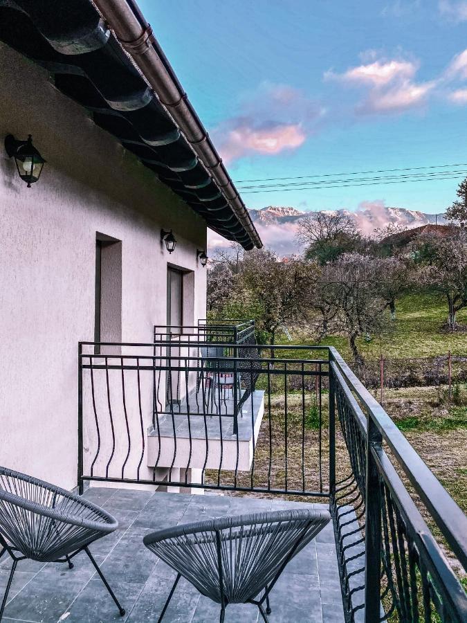Transylvania Mountain View Cdi برانْ المظهر الخارجي الصورة