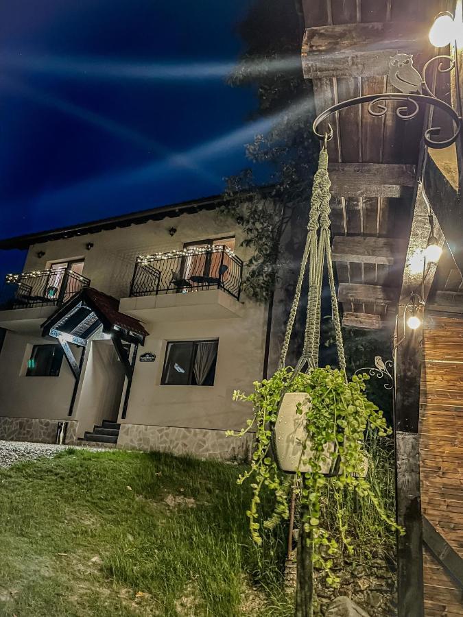 Transylvania Mountain View Cdi برانْ المظهر الخارجي الصورة