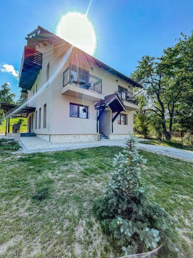 Transylvania Mountain View Cdi برانْ المظهر الخارجي الصورة