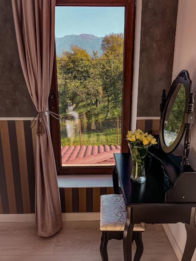 Transylvania Mountain View Cdi برانْ المظهر الخارجي الصورة
