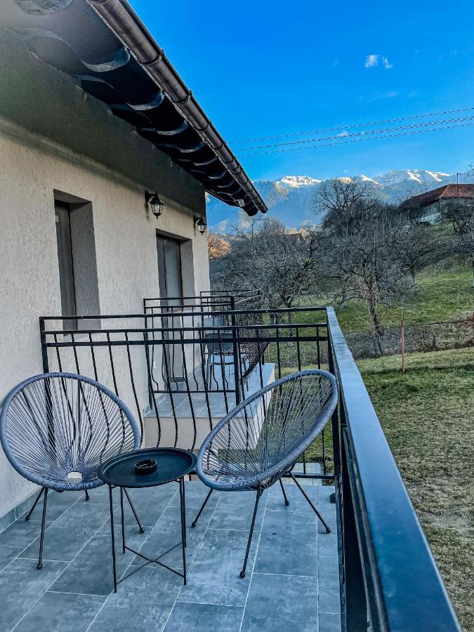 Transylvania Mountain View Cdi برانْ المظهر الخارجي الصورة