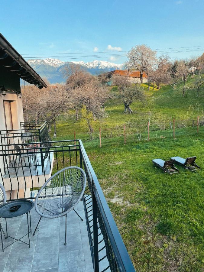 Transylvania Mountain View Cdi برانْ المظهر الخارجي الصورة