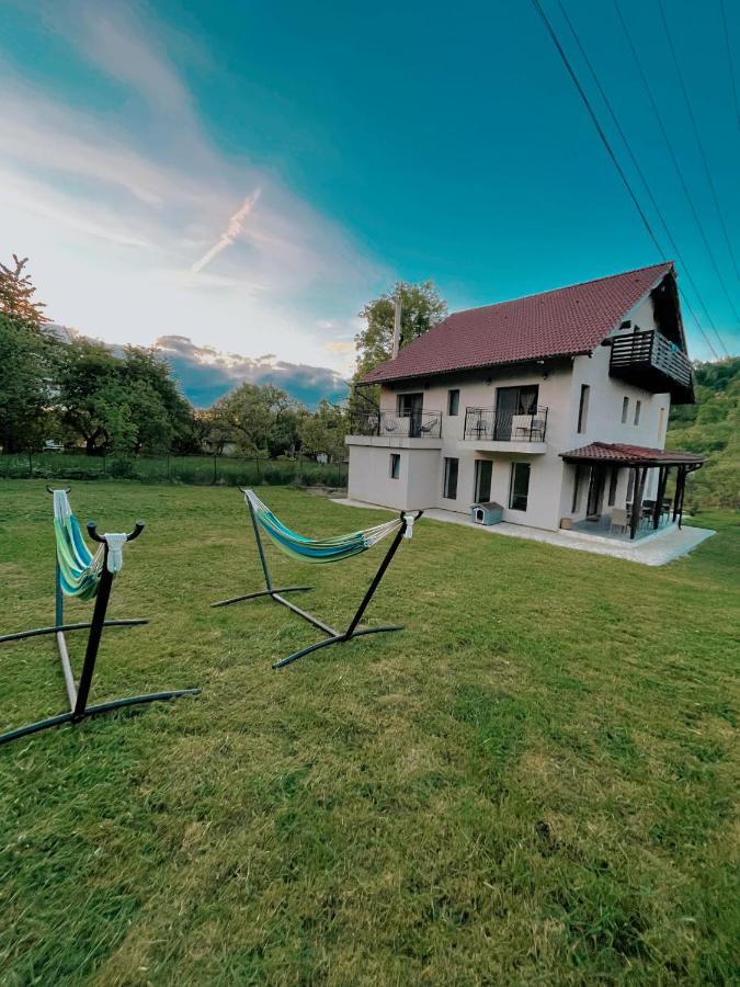 Transylvania Mountain View Cdi برانْ المظهر الخارجي الصورة