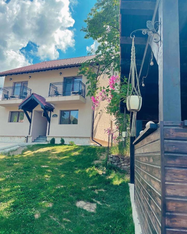 Transylvania Mountain View Cdi برانْ المظهر الخارجي الصورة