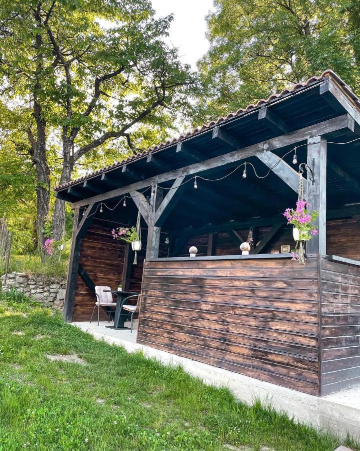Transylvania Mountain View Cdi برانْ المظهر الخارجي الصورة