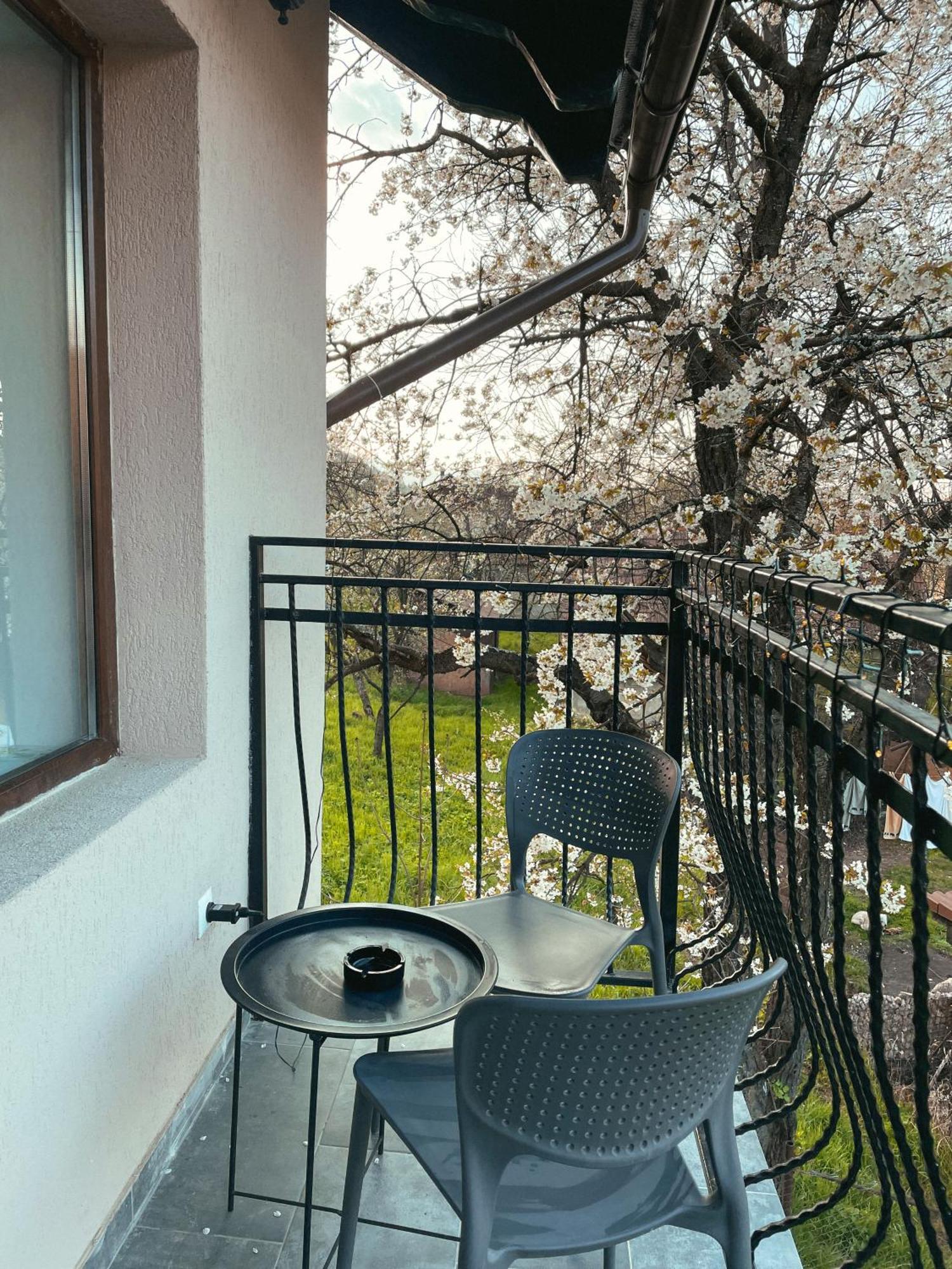 Transylvania Mountain View Cdi برانْ الغرفة الصورة