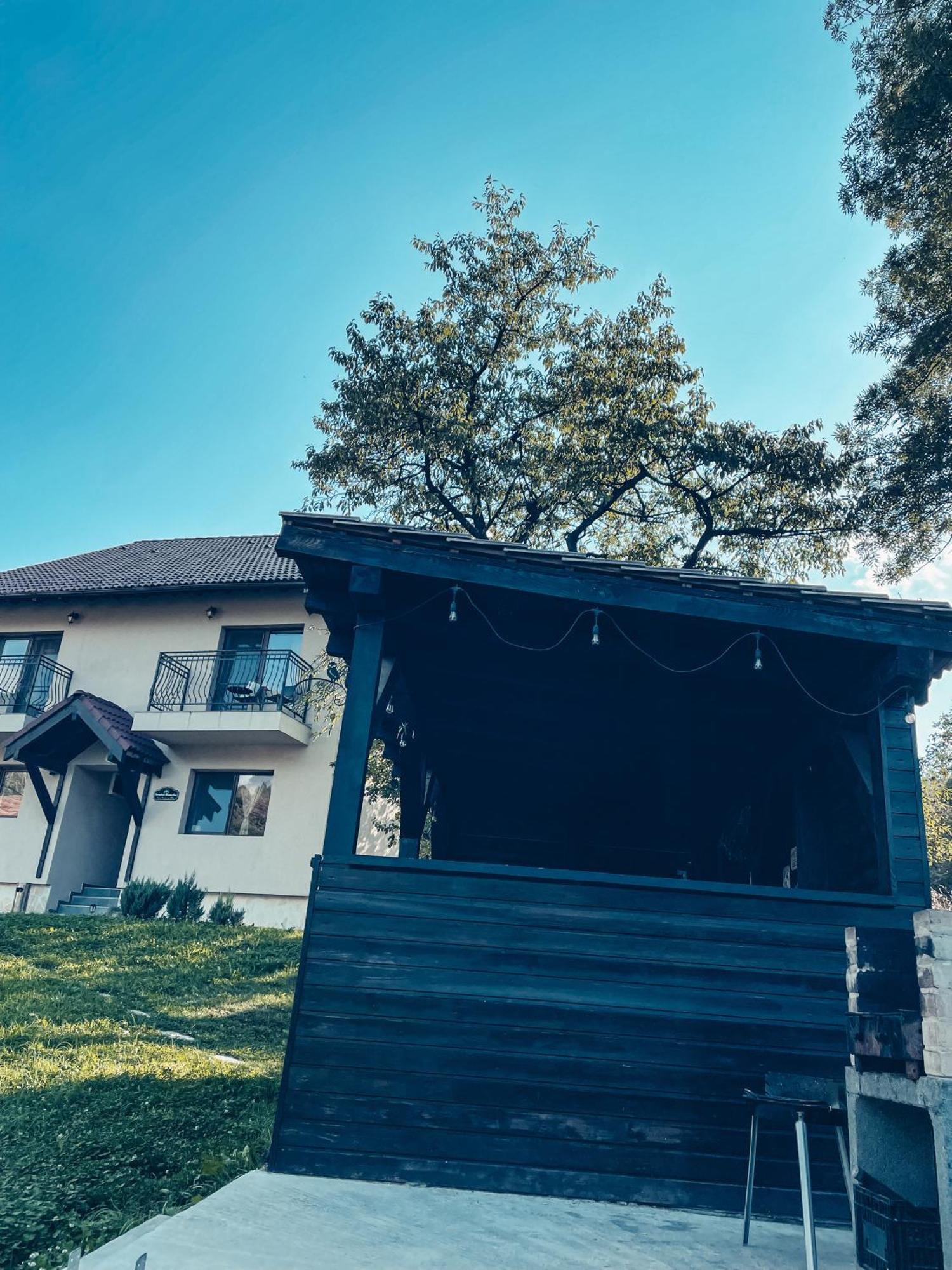 Transylvania Mountain View Cdi برانْ المظهر الخارجي الصورة